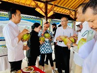 Jokowi Ogah Kelapa RI Diekspor Mentah, Minta Diolah Jadi Ini