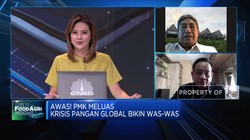 Alasan Pemerintah Belum Tetapkan Wabah PMK Ternak Jadi KLB