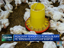 Peternakan Ayam Siap Ekspor, Intip Sistem Teknologinya!