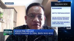 Benarkah PMK Karena Kontaminasi Daging Impor? Ini Kata KSP