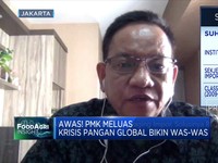 Benarkah PMK Karena Kontaminasi Daging Impor? Ini Kata KSP