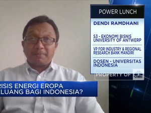 Kalori & Produksi Terbatas,Tantangan Batu Bara RI Masuk Eropa