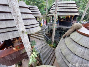Wisata di Ubud: Rekomendasi Tempat Nongkrong & Aktivitas Seru di Bali