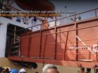 Salah Urus Distribusi Sapi Bikin RI Rugi Rp 1,62 T per Tahun