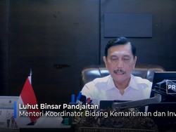 Penjelasan Luhut Soal Beli Migor Harus Pakai PeduliLindungi