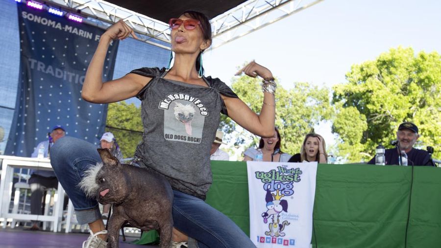 Contestants and their handlers line the stage at the World's Ugliest Dog competition, Friday, June 24, 2022, in Petaluma, Calif. (AP Photo/D. Ross Cameron)