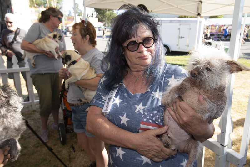 Ugly Dog Contest Contestants and their handlers line the stage at the World's Ugliest Dog competition, Friday, June 24, 2022, in Petaluma, Calif. (AP Photo/D. Ross Cameron)