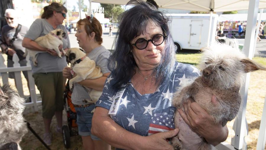Contestants and their handlers line the stage at the World's Ugliest Dog competition, Friday, June 24, 2022, in Petaluma, Calif. (AP Photo/D. Ross Cameron)