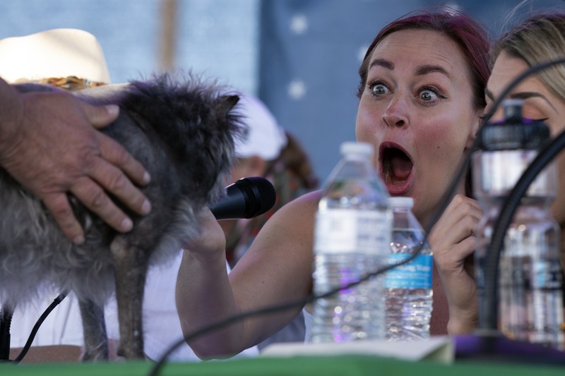 Ugly Dog Contest Contestants and their handlers line the stage at the World's Ugliest Dog competition, Friday, June 24, 2022, in Petaluma, Calif. (AP Photo/D. Ross Cameron)