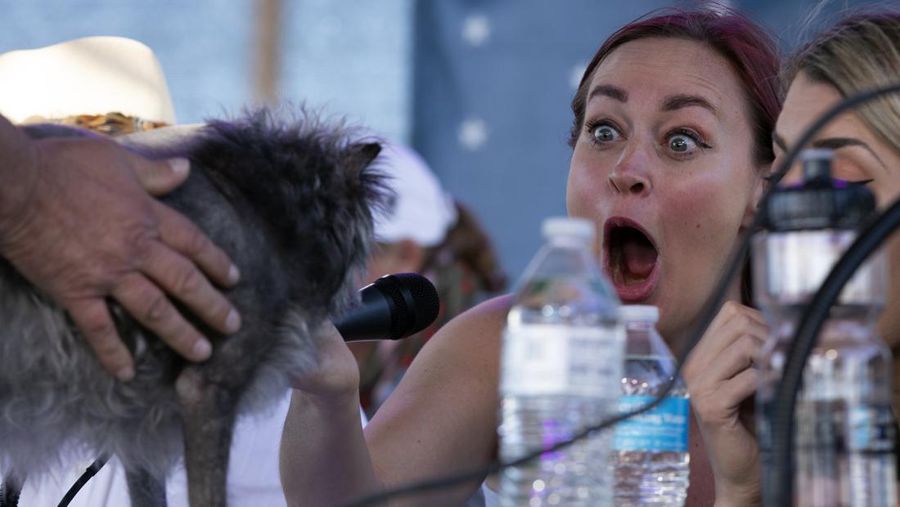 Contestants and their handlers line the stage at the World's Ugliest Dog competition, Friday, June 24, 2022, in Petaluma, Calif. (AP Photo/D. Ross Cameron)