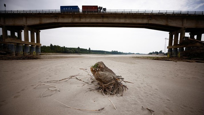 A tree trunk lies on Po's dry riverbed as parts of Italy's longest river and largest reservoir of freshwater have dried up due to the worst drought in the last 70 years, in Boretto, Italy, June 22, 2022. REUTERS/Guglielmo Mangiapane