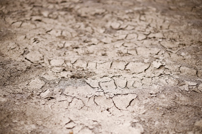 A general view of the dry riverbank of the Sangone river, a tributary of the Po river, which experiences its worst drought for 70 years, in Beinasco, Turin, Italy June 19, 2022. REUTERS / Massimo Pinca