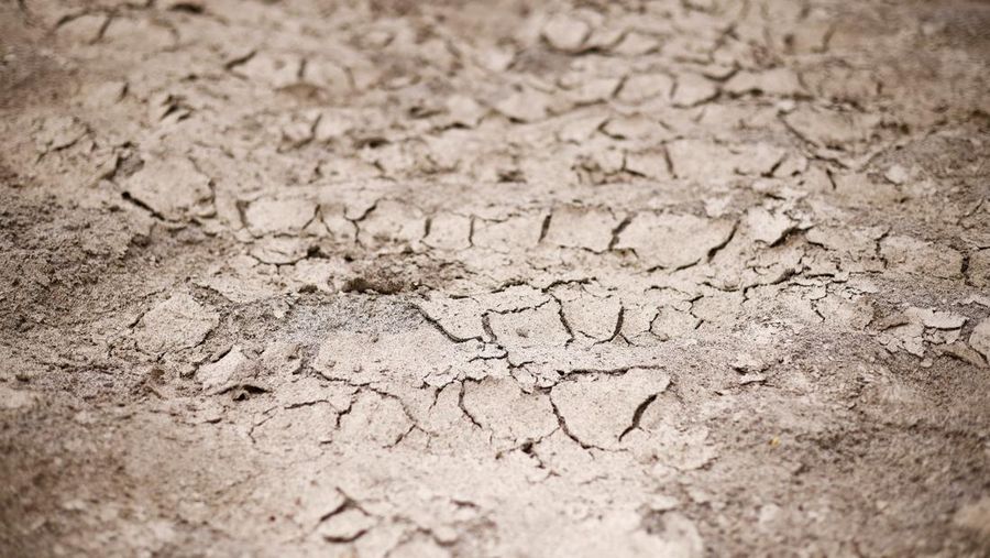 A general view of the dry riverbank of the Sangone river, a tributary of the Po river, which experiences its worst drought for 70 years, in Beinasco, Turin, Italy June 19, 2022. REUTERS / Massimo Pinca