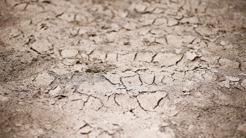 A general view of the dry riverbank of the Sangone river, a tributary of the Po river, which experiences its worst drought for 70 years, in Beinasco, Turin, Italy June 19, 2022. REUTERS / Massimo Pinca