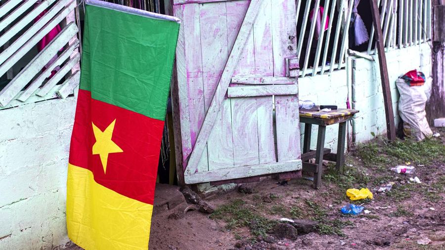 Bendera Kamerun (AfrikImages Agency/Universal Ima/AfrikImages Agency)