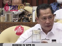Buwas Jamin Daging Kerbau Asal India Clear & Bebas PMK