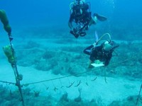 Gaji Tukang Las Bawah Laut Menggiurkan, Tembus Rp1 Miliar?