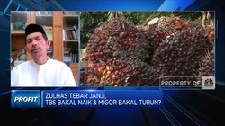Petani Mengeluh Harga Sawit Masih Rendah, Ada Yang Rp 300/Kg