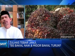 Petani Mengeluh Harga Sawit Masih Rendah, Ada Yang Rp 300/Kg
