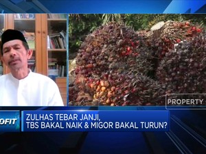 Petani Mengeluh Harga Sawit Masih Rendah, Ada Yang Rp 300/Kg