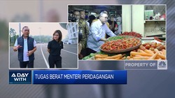 Dengerin Yuk Curhat Zulhas Jadi Mendag di Tahun Politik