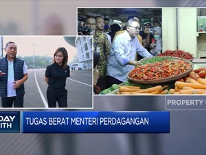 Dengerin Yuk Curhat Zulhas Jadi Mendag di Tahun Politik