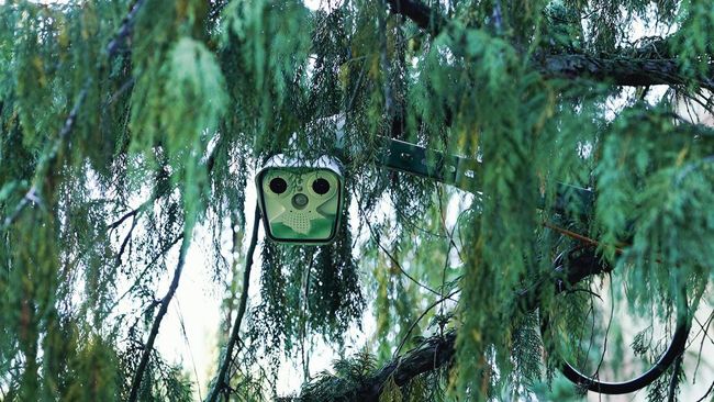 CCTV di Rumah Bisa Dipantau Orang Lain, Cek 7 Cara agar Tetap Aman