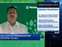 Tengah Bangun Pabrik, Perhutani Ungkap Pasar Wood Pellet