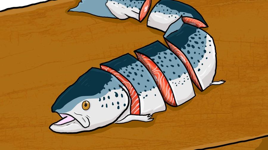 Ini 15 Negara Penghasil Ikan Salmon Terbesar Dunia, Ada RI?