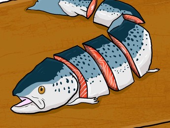 Ini 15 Negara Penghasil Ikan Salmon Terbesar Dunia, Ada RI?