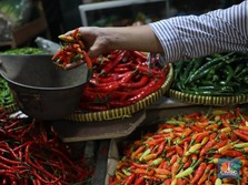 Yang Ditunggu-tunggu, Harga Sembako Akhirnya Turun