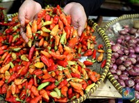 Gawat! Harga Cabai Rawit Merah Meledak, Tembus Rp 80.000/Kg