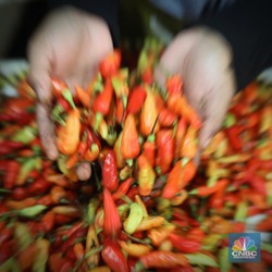 Awas! Harga Cabai Rawit Merah Mau Meledak, Tanda-tandanya Ini