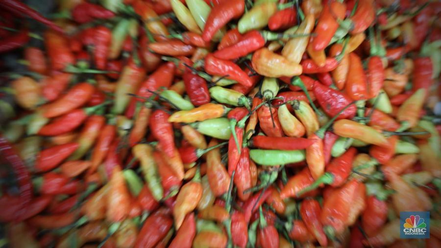 Pedagang memotong cabai merah keritinh yang dijual di kawasan Pasar Pondok Gede, Jakarta, Rabu (29/6/2022). (CNBC Indonesia/Muhammad Sabki)