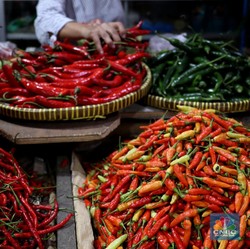 Harga Cabai Rawit Merah Menggila, di 3 Wilayah Ini Tembus Rp110.000