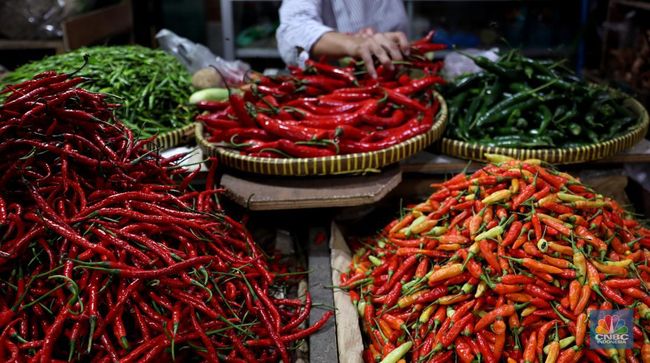 Harga Cabai Rawit Merah Menggila, di 3 Wilayah Ini Tembus Rp110.000