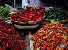 Dari Pekerja Kantoran Jadi Jual Cabai di Pasar, Cuan Segini