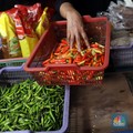 Harga Merangkak Naik, Ini Provinsi "Juragan" Cabai Rawit