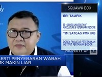 36 Tahun RI Bebas Wabah PMK, Kenapa Bisa Kembali Menyebar?