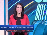 Heboh Soal Pertalite, Sri Mulyani Kaji Opsi Kenaikan BBM