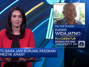 IMA Sebut DMO Batu Bara Belum Pernah Sentuh 25%, Kok Bisa?