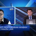 Wabah Mengganas, Perguruan Tinggi Siap Bantu Satgas PMK?