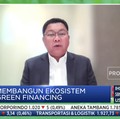 Bos Bank Mandiri Ungkap Jurus Jitu Dukung Ekonomi Hijau