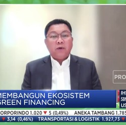 Bos Bank Mandiri Ungkap Jurus Jitu Dukung Ekonomi Hijau