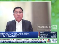 Bos Bank Mandiri Ungkap Jurus Jitu Dukung Ekonomi Hijau