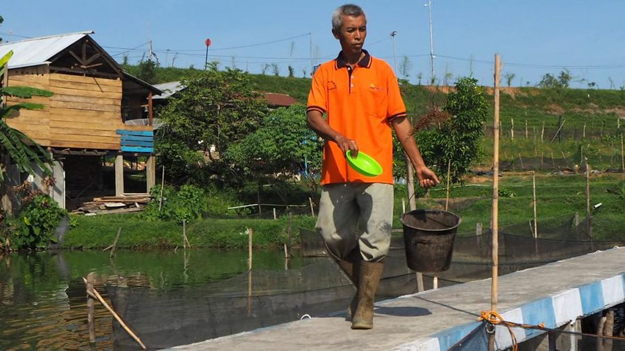 Pemanfaatan Lahan Tambang