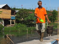 Wah, PTBA Ubah Lahan Bekas Tambang Jadi Tambak Ikan
