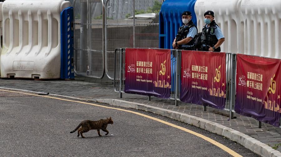 Seekor kucing berlari di seberang jalan saat petugas polisi berjaga di luar Stasiun Kereta Kecepatan Tinggi West Kowloon menjelang kedatangan Presiden Xi Jinping pada 30 Juni 2022 di Hong Kong, China. (Getty Images/Anthony Kwan)
