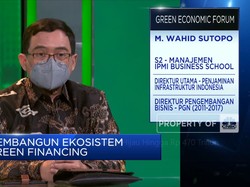 Skema Kreatif PT PII Biayai Sektor Hijau Hingga Rp 470 T