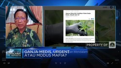 Wacana Legalisasi Ganja Medis, Ahli: Perlu Kajian Mendalam!